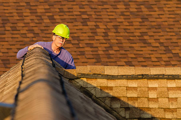 Best Storm Damage Roof Repair  in Brooklyn Park, MD